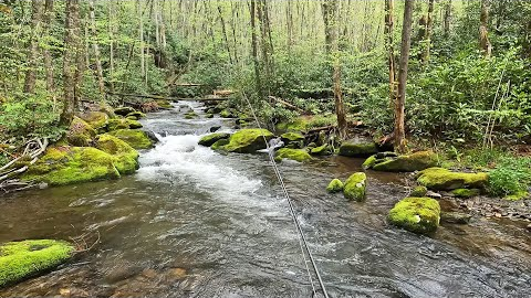 The most remote cabin in the Smokies is next to an amazing wild trout stream!