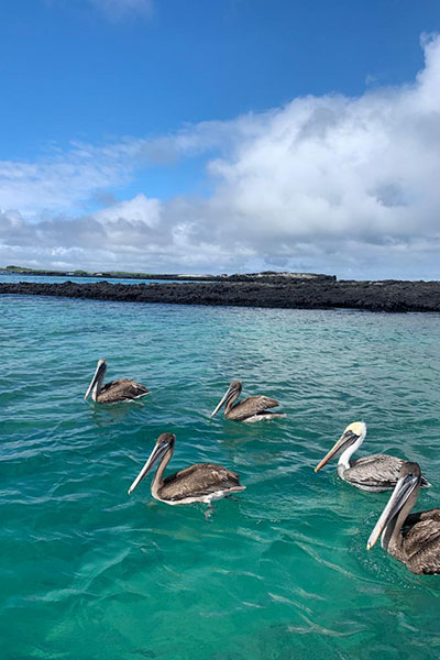 The Galapagos Islands Are Almost A Worry Free & Safe Destination