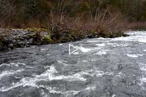 Sandy River, Oregon - Dodge Park to Oxbow Park Float Trip