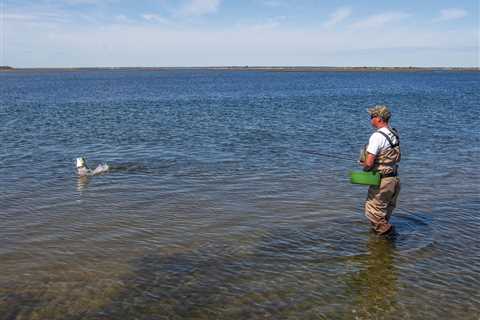 Fishing the Bay