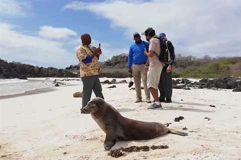 Ecuagringo Is Your Outfitter For Anything Fishing/Touring In Ecuador & The Galapagos Islands