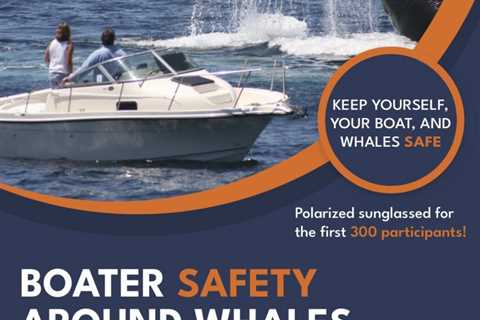 Online Course: Improve Boater Safety Around Whales