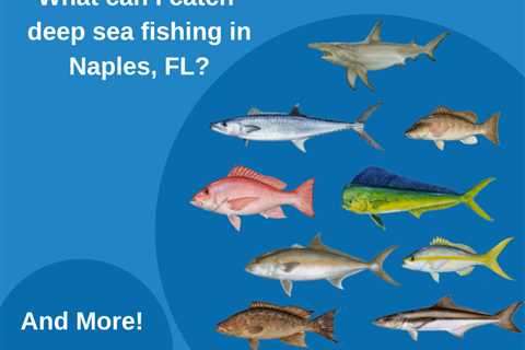 Your Guide to Deep Sea Fishing Naples, FL