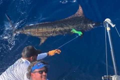 A  world-class international billfish tournament in Costa Rica ends one season, ushers in another