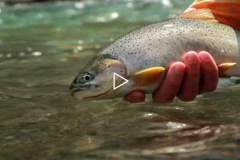 How to fly fish Gravel Shelves