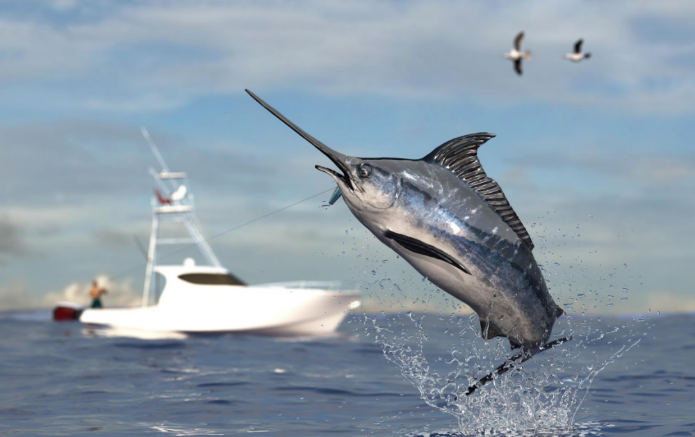 An Offshore Fishing Journey…..More Than Catching (Part 1)