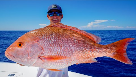 GIANT Red Snapper, Grouper, Tuna! Catch Clean Cook (Gulf of Mexico Fishing)