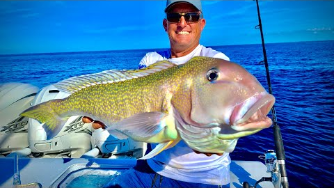 Massive GOLDEN Tile Fish, Mutton and Cobia!! {Catch Clean Cook} 44 Contender - Quad 425’s!!!