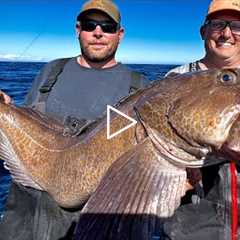Monster “Sea Dragon” {Catch Clean Cook} The Fish I've been after for Years!!!