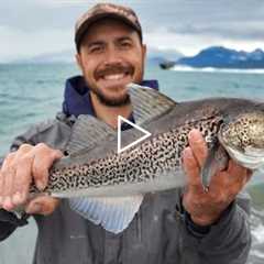 Hooking Fish at the Homer Spit | Fresh Seafood Catch & Cook