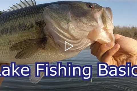 How To Start Fishing Any Lake for Beginners- Tips and Techniques