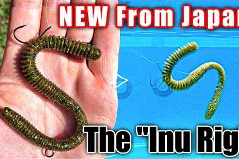 The Inu Rig | The Most Realistic Worm Rig EVER (Underwater Footage)