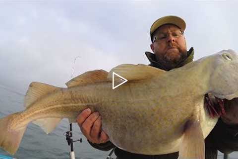 Giant Cod Fishing - Catch and Cook - Fish and Chips