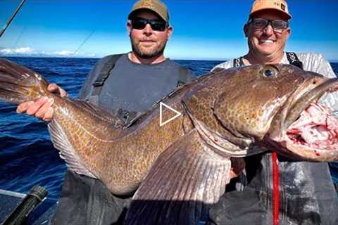 Monster “Sea Dragon” {Catch Clean Cook} The Fish I've been after for Years!!!