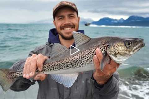 Hooking Fish at the Homer Spit | Fresh Seafood Catch & Cook