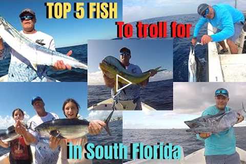 TOP 5 FISH to troll for in South Florida | How, when & where to catch them
