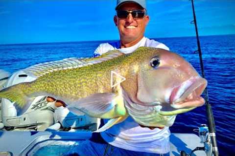 Massive GOLDEN Tile Fish, Mutton and Cobia!! {Catch Clean Cook} 44 Contender - Quad 425’s!!!