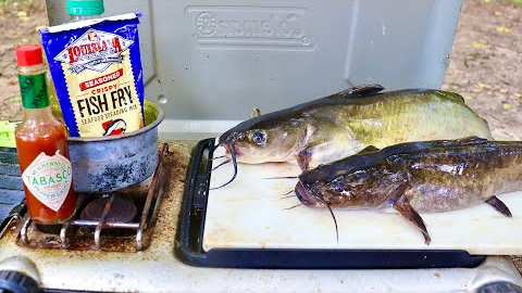 Channel vs Flathead Catfish Catch n' Cook! Which Tastes Better??