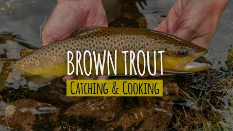 Catch Brown Trout With Hands and Cook Near Waterfall | Trout Catch & Cook | Trout Catching & Cooking