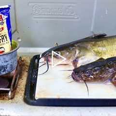Channel vs Flathead Catfish Catch n' Cook! Which Tastes Better??
