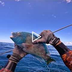 Pananu Play Dead / Spearfishing Hawaii Catch n Cook