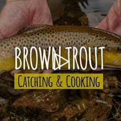 Catch Brown Trout With Hands and Cook Near Waterfall | Trout Catch & Cook | Trout Catching..