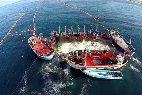 Amazing Big Fish Catching Vessel On The Sea, Big Catch Fishing Process