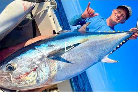 Bluefin Tuna Fishing Southern California NEW PERSONAL BEST (Catch and Cook)