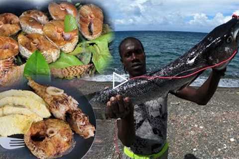 GIANT BARRACUDA CATCH CLEAN COOK SPICEY JERK BARRACUDA N JERK BREADFRUIT SUNDAY DINNER