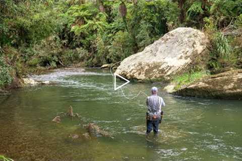 Incredible Fly Fishing for BIG Rainbow Trout in a Stunning River!!