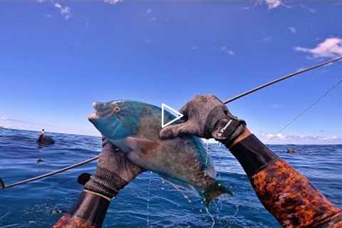 Pananu Play Dead / Spearfishing Hawaii Catch n Cook