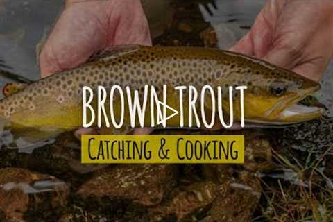 Catch Brown Trout With Hands and Cook Near Waterfall | Trout Catch & Cook | Trout Catching..