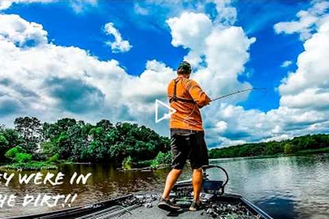 Fishing DIRT SHALLOW For SUMMER BASS In a MUDDY RESERVOIR!! || Late Summer Bass Fishing