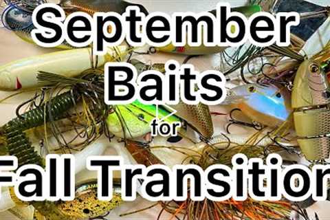 The Baits to Use in September - Bass Fishing - Fall Transition