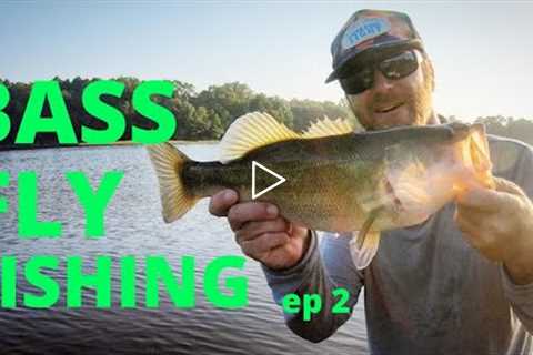 BASS FLY FISHING ep. 2 ( how to)