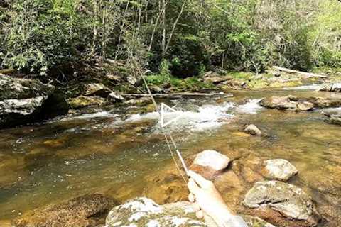 Backpackers mocked me for fishing here...they didn't know about the amazing wild trout!