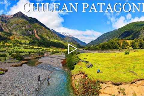 Fly Fishing Patagonia - Fly Fishing a GORGEOUS Creek for Rainbow & Brown Trout in Chile