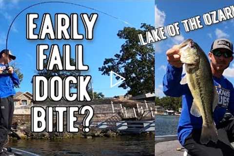 September Dock Bite | Bass Fishing | Lake Of The Ozarks