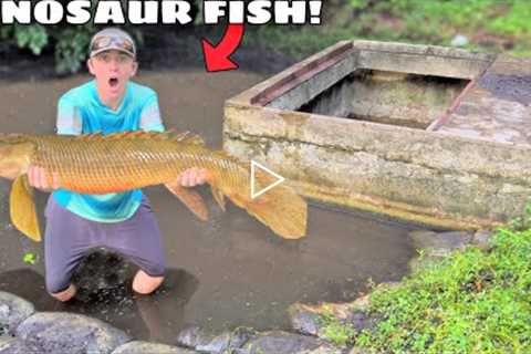 Catching PREHISTORIC Dinosaur Fish in the SEWER!