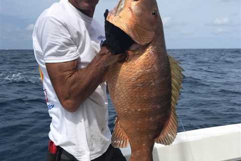 Awesome and I Mean Awesome Wreck Fishing in Ft. Lauderdale