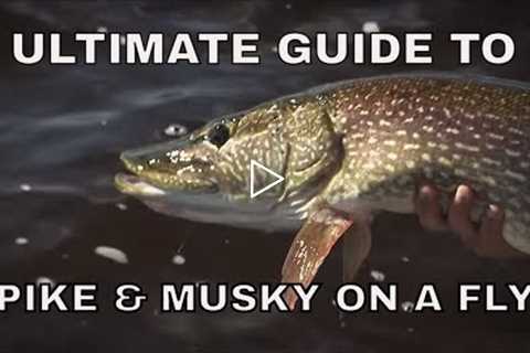 Ultimate Guide to Pike and Musky Fishing on a Fly