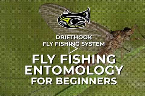 Fly Fishing Entomology for Beginners