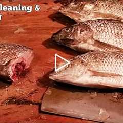 Fish Cooking | Big fish cutting & cooking | Fish cutting & cooking video |Cutting Cleaning..