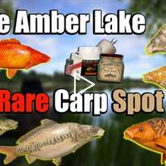 🎣Russian Fishing 4 RF4 - The Amber Lake Rare Carp Spot#176