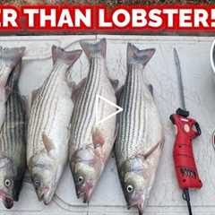 The FISH That Tastes BETTER THAN LOBSTER!!! -- CATCH & COOK it THIS WAY! (AMAZING)