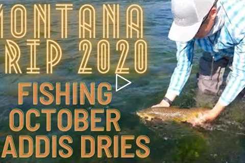 Catching October Caddis Eating Browns on the Missouri River w/ Mark Raisler - MT 2020 Trip Part 2