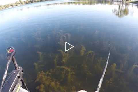 Bass Fishing a SUPER CLEAR Lake