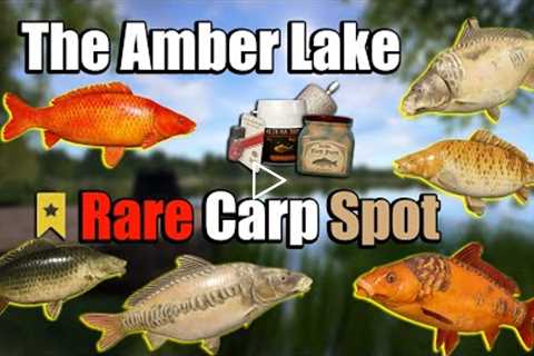 🎣Russian Fishing 4 RF4 - The Amber Lake Rare Carp Spot#176