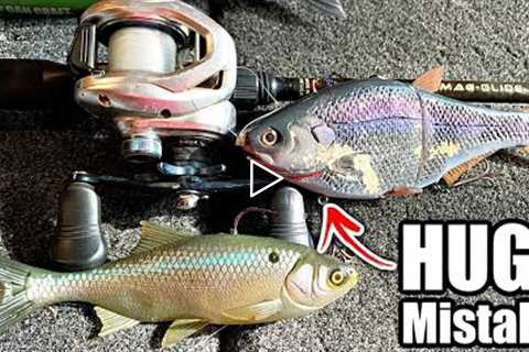 95% of Anglers Make These SWIMBAIT FISHING Mistakes!! STOP thinking this way...