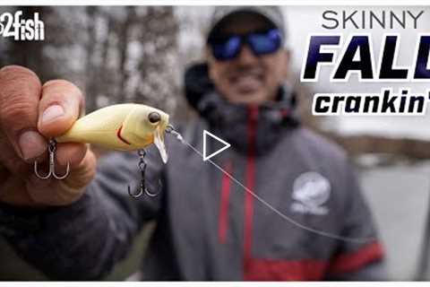 How to Fish Shallow-Diving Crankbaits for Fall Bass